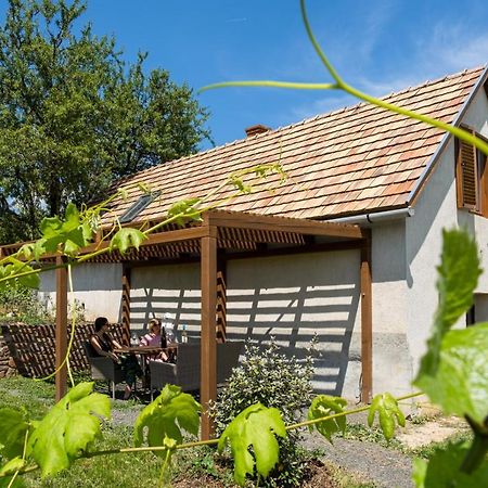 Tagyon Birtok Mandula Apartmanhaz Екстер'єр фото