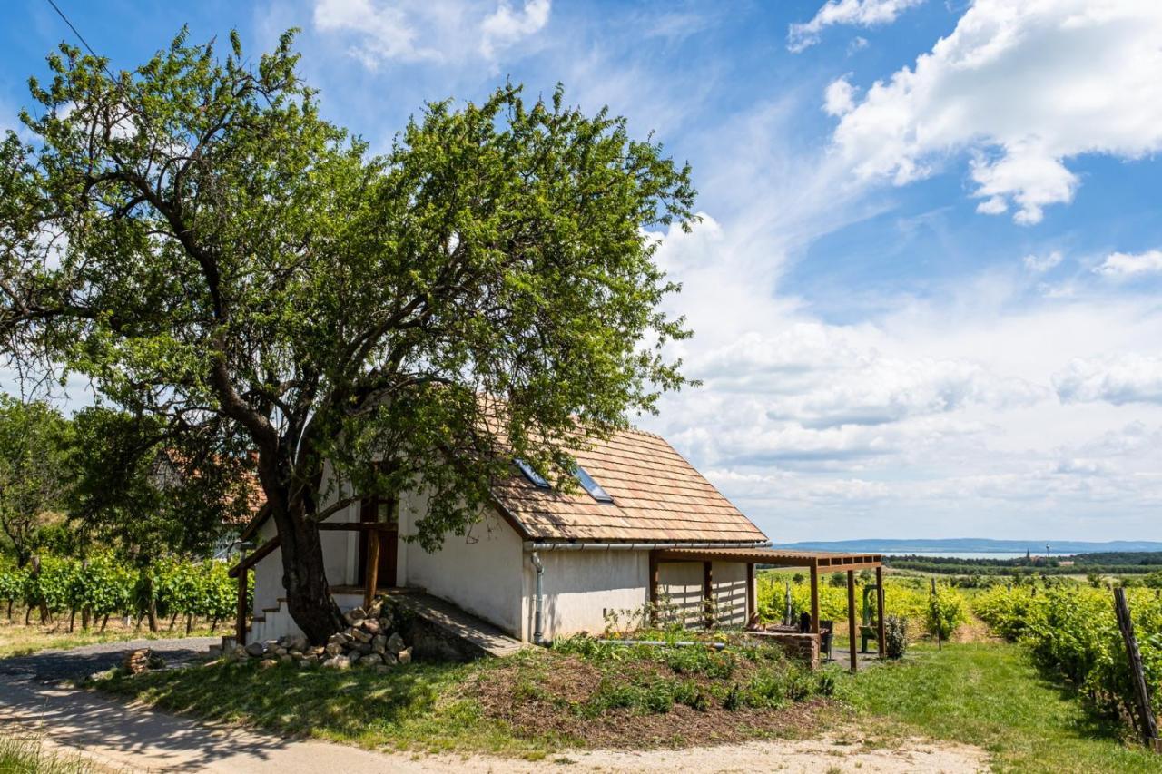 Tagyon Birtok Mandula Apartmanhaz Екстер'єр фото